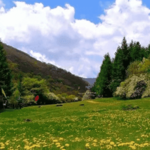 Liupan Mountain Ecology Botanical Garden_Travel_Tours_China