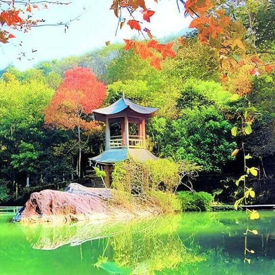 Show_Me_Heyuan_Yequ Valley_China_Travel