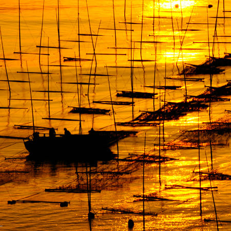 Show Me Xiapu Mudflats China