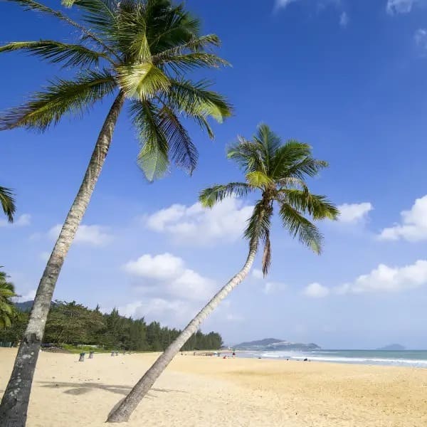 Show_Me-Shimei Bay_China_Travel