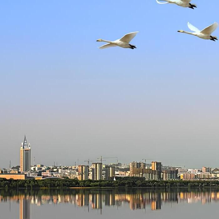 Look_Up_Sanmenxia_Henan_China_Travel